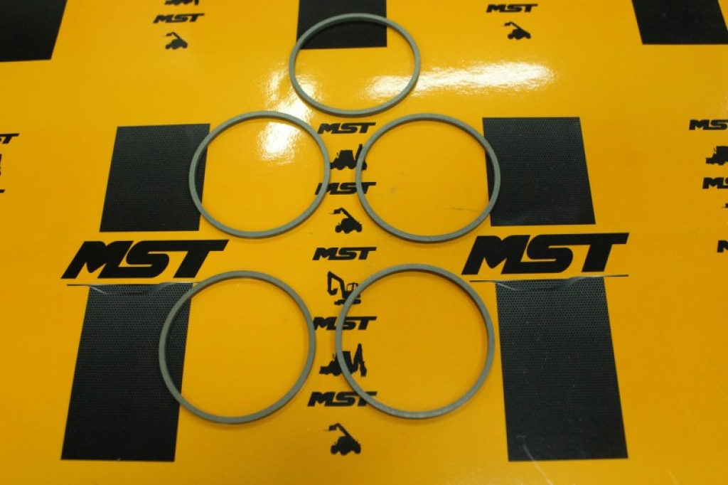 MST / CARRARO 142858 Keçe - Ring / Seal Ring